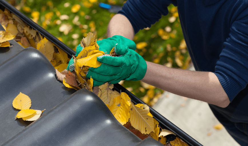 GUTTER CLEANING